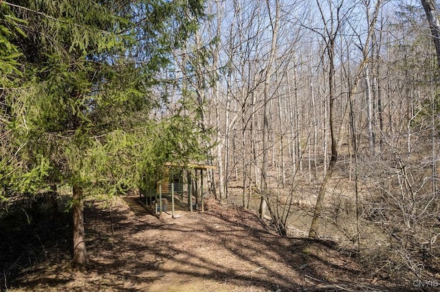 1826 Cardner Rd, Fabius, NY 13122 - view of yard with a wooded view