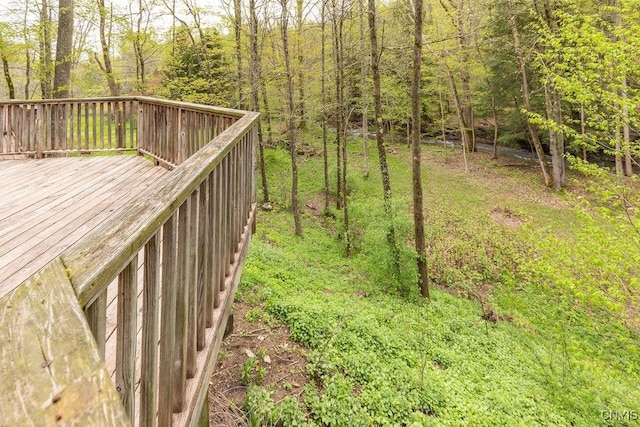 1826 Cardner Rd, Fabius, NY 13122 - deck with a wooded view