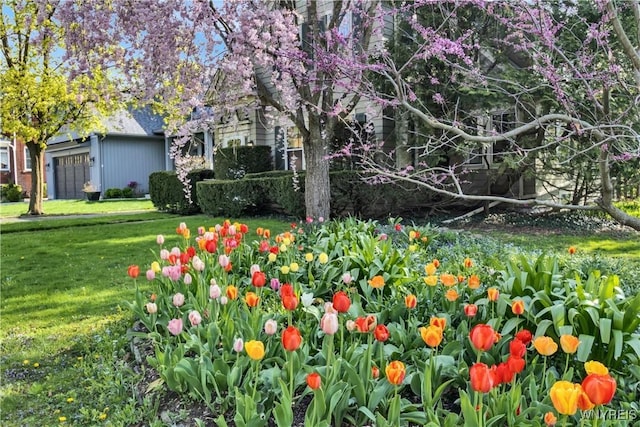 view of green lawn featuring a garage