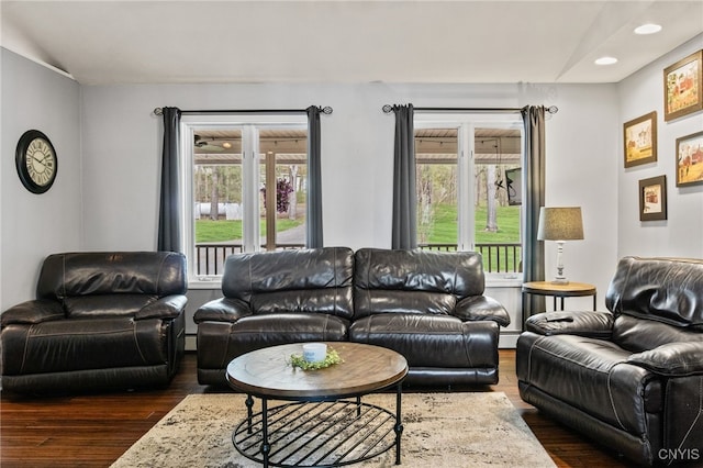 545 County Route 54, Schroeppel, NY 13132 - living room featuring wood finished floors, recessed lighting, and a baseboard radiator
