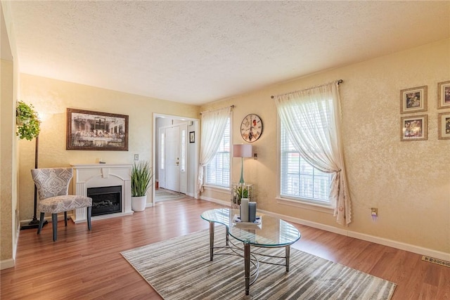 1430 Erie Station Rd, Henrietta, NY 14467 - living room with a textured ceiling, wood finished floors, baseboards, and a fireplace