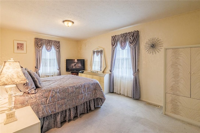 1430 Erie Station Rd, Henrietta, NY 14467 - bedroom with light colored carpet and a textured ceiling