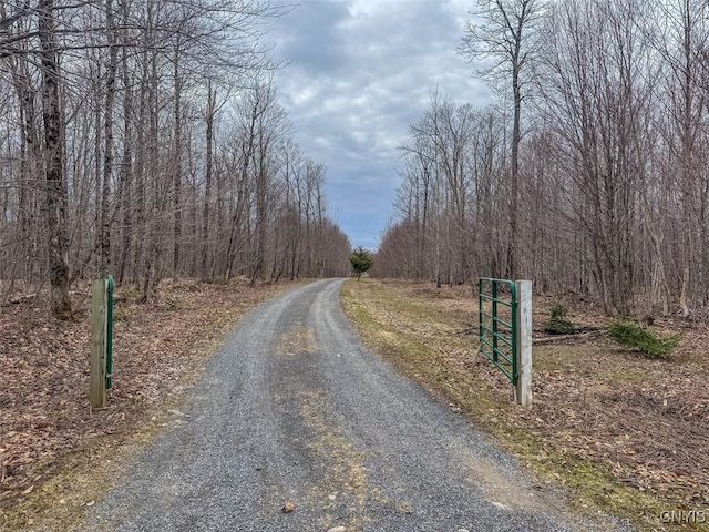 4315 County Route 95, Worth, NY 13659 - view of dirt / gravel road with a forest view