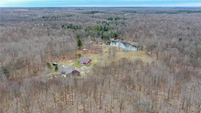 4315 County Route 95, Worth, NY 13659 - overview of rural landscape featuring a heavily wooded area