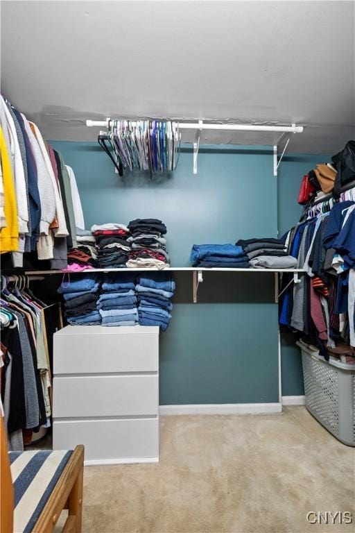 walk in closet featuring carpet