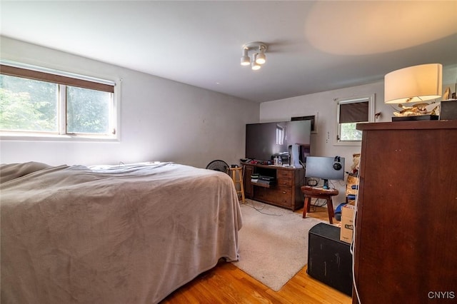 7650 Commodore Cir, Clay, NY 13090 - bedroom featuring light wood finished floors