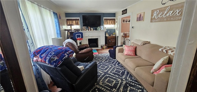 43 Sunnyside Dr, Elmira, NY 14905 - living area featuring wood finished floors and a fireplace