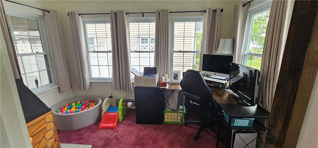 43 Sunnyside Dr, Elmira, NY 14905 - office with carpet flooring