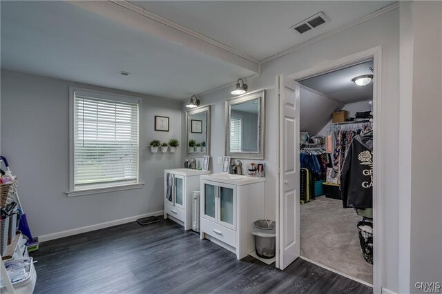 29441 Beaver Meadow Mews, Lyme, NY 13622 - full bathroom featuring vanity, wood finished floors, a spacious closet, crown molding, and baseboards