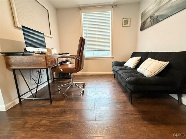 29441 Beaver Meadow Mews, Lyme, NY 13622 - office area featuring baseboards and wood finished floors