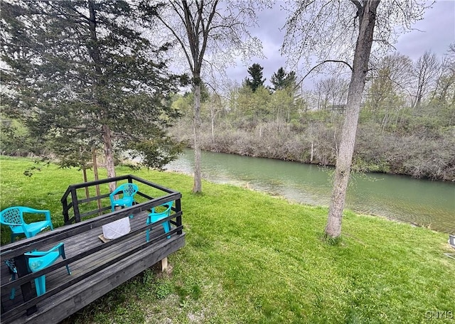 29441 Beaver Meadow Mews, Lyme, NY 13622 - view of home's community featuring a yard and a water view