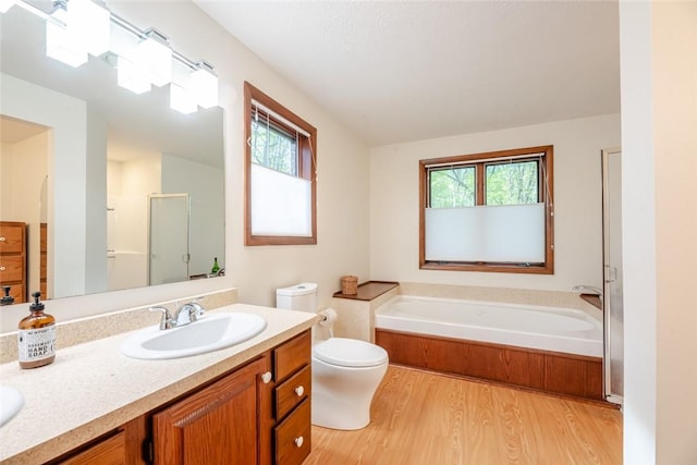 bathroom featuring plenty of natural light, wood finished floors, a stall shower, and vanity