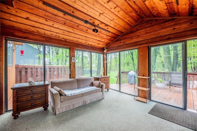 sunroom / solarium with vaulted ceiling and rail lighting