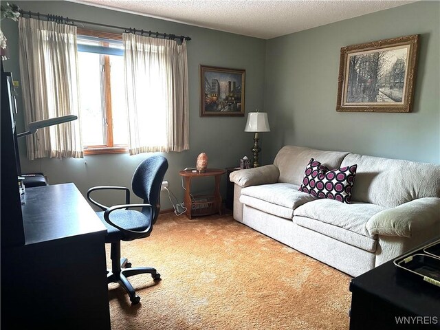 carpeted home office featuring a textured ceiling and baseboards