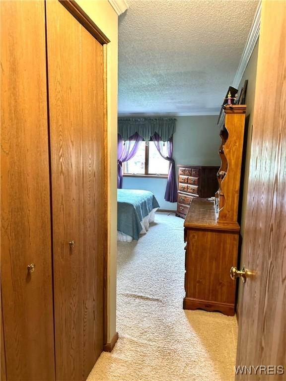 hallway with carpet, a textured ceiling, and ornamental molding