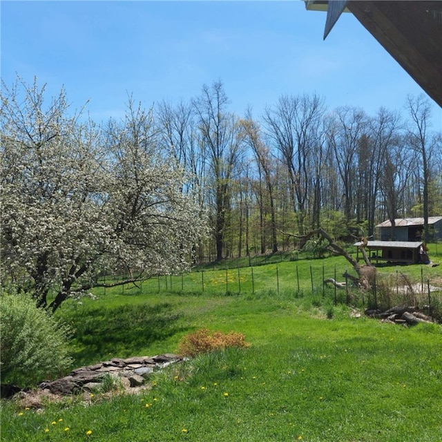 4510 Colvin Hill Rd, Troupsburg, NY 14898 - view of yard