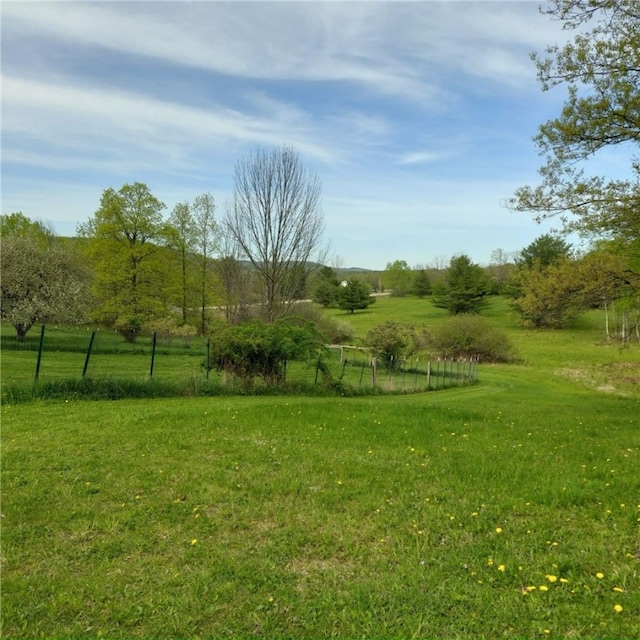4510 Colvin Hill Rd, Troupsburg, NY 14898 - view of yard