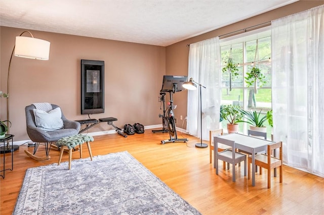 exercise room with wood finished floors, baseboards, and a textured ceiling