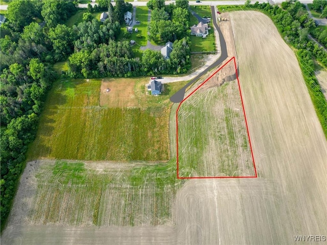 1220 Rice Rd, Elma, NY 14059 - photo 17