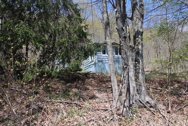 489 Ten Eyck Rd, Decatur, NY 12043 - view of woods