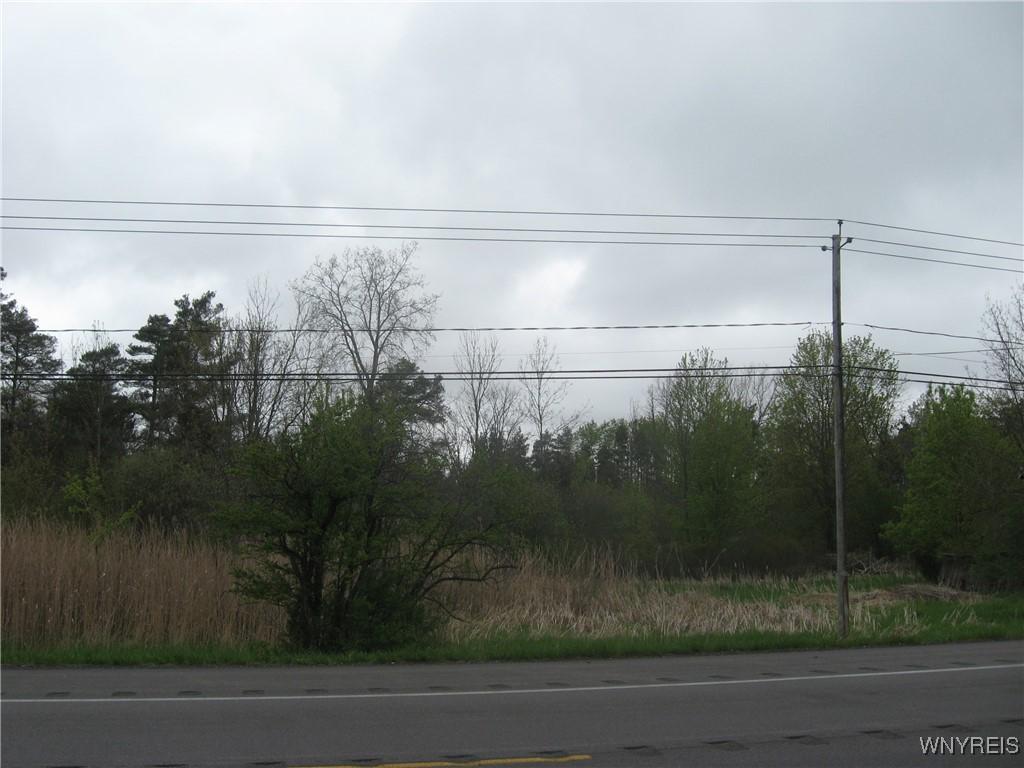 3821 Pearl Street Rd, Batavia, NY 14020 - photo 1