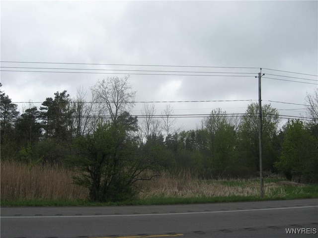 3821 Pearl Street Rd, Batavia, NY 14020 - photo 1