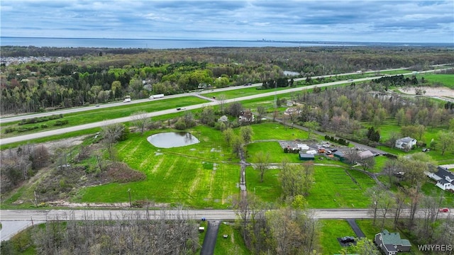 bird's eye view of a nearby body of water and a forest