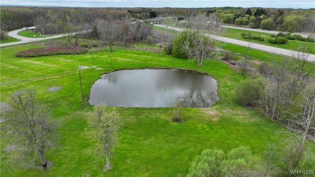 view of home's community with a water view