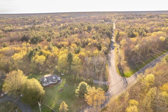 1061 County Route 84, Hastings, NY 13036 - photo 46
