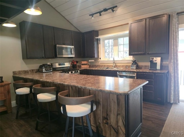 1003 Waterview Dr, Vienna, NY 13308 - kitchen featuring appliances with stainless steel finishes, a sink, lofted ceiling, dark wood-type flooring, and track lighting