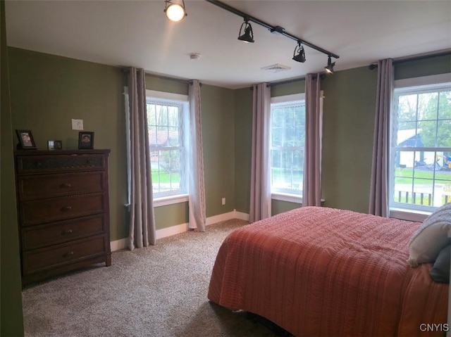 1003 Waterview Dr, Vienna, NY 13308 - bedroom with track lighting, carpet flooring, baseboards, and multiple windows