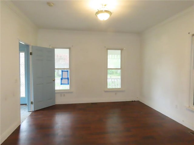 5555 Main St, Sodus, NY 14551 - photo 12