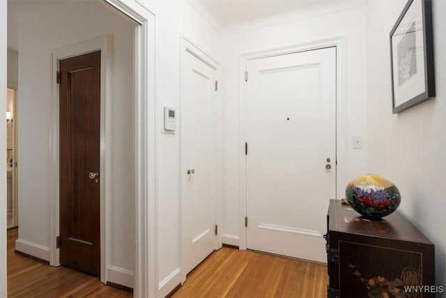 entryway featuring light wood-type flooring