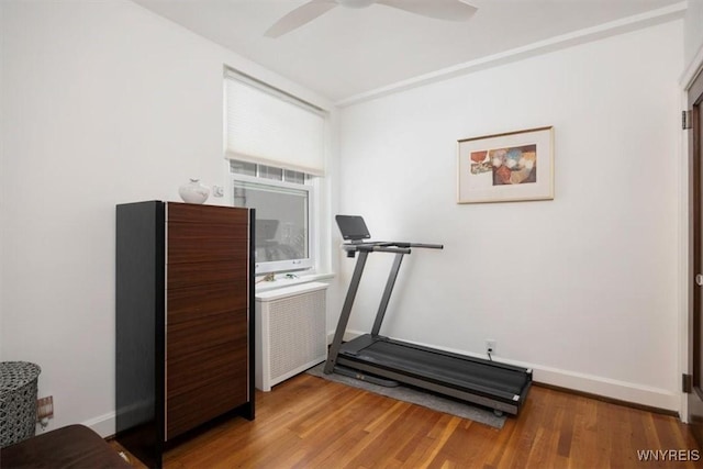 exercise area with ceiling fan, wood finished floors, radiator, and baseboards