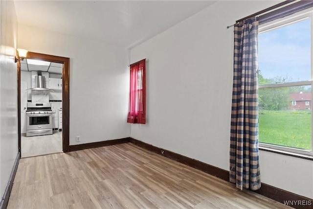 75 Box Ave, Buffalo, NY 14211 - spare room featuring light wood-type flooring, healthy amount of natural light, and baseboards