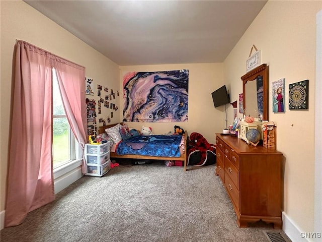 237 James St, Lenox, NY 13032 - view of carpeted bedroom