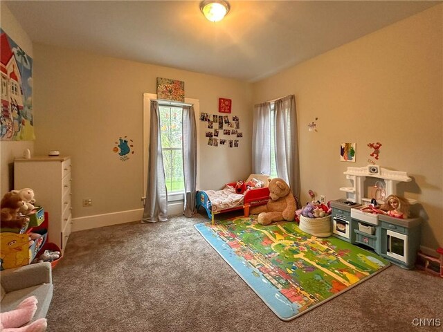 237 James St, Lenox, NY 13032 - rec room featuring carpet floors and baseboards