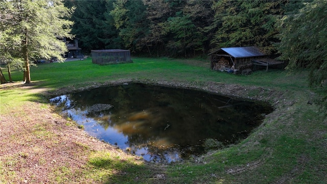 view of grassy yard featuring a forest view