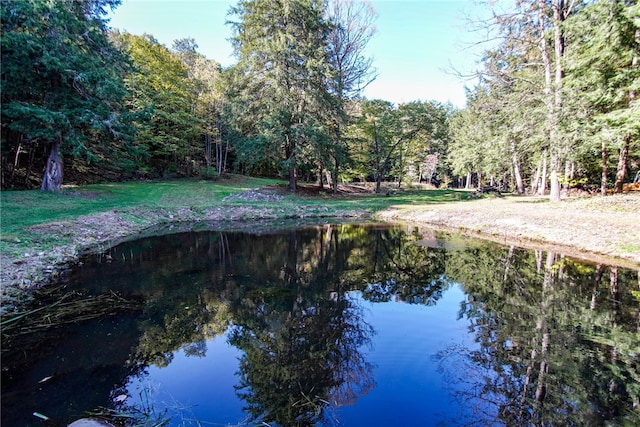 water view with a heavily wooded area