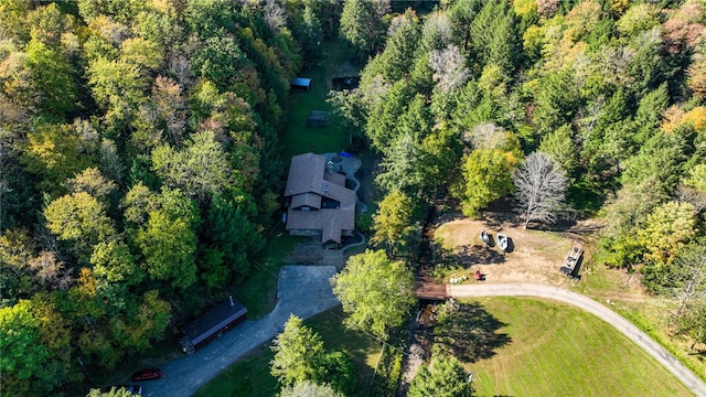 aerial view