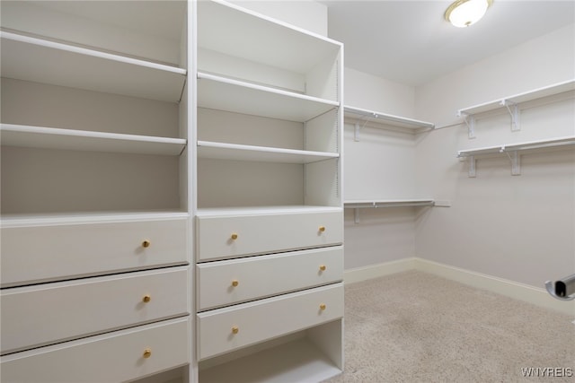 56 Sunset Ln, Orchard Park, NY 14127 - spacious closet featuring carpet flooring