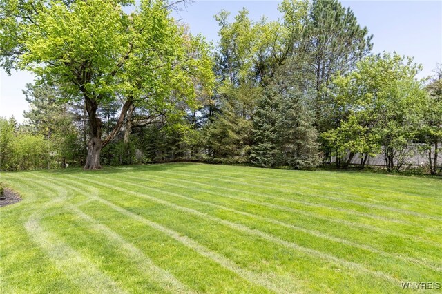 56 Sunset Ln, Orchard Park, NY 14127 - view of green lawn