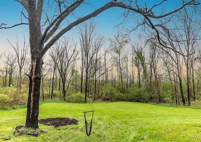 view of grassy yard