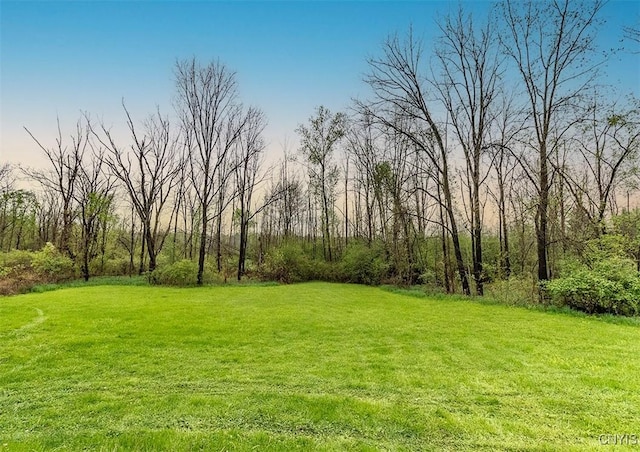 view of green lawn
