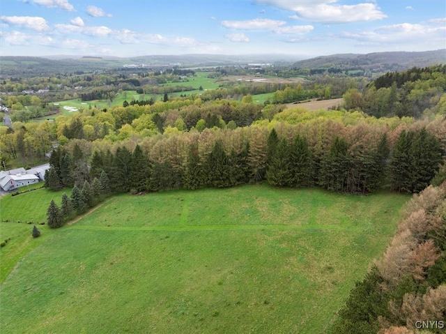0 Bonney Hill Rd, Hamilton, NY 13346 - photo 14