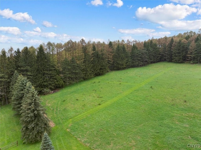 0 Bonney Hill Rd, Hamilton, NY 13346 - photo 16