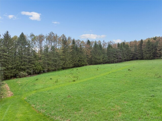 0 Bonney Hill Rd, Hamilton, NY 13346 - photo 17