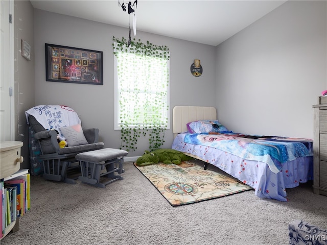 36395 Sarah Ln, Orleans, NY 13656 - bedroom featuring carpet floors