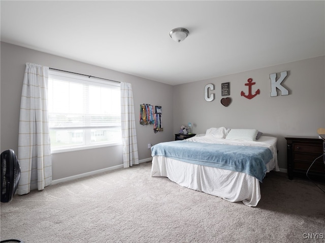 36395 Sarah Ln, Orleans, NY 13656 - carpeted bedroom with baseboards