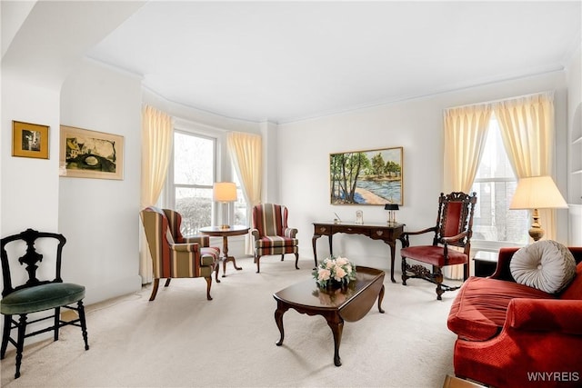 47 Beard Ave, Buffalo, NY 14214 - living area with carpet and ornamental molding
